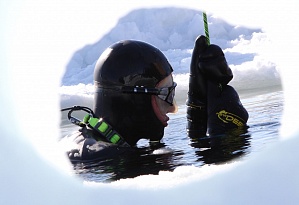 Andrey Matveenko. Freediving under the ice of the White Sea, April 2019